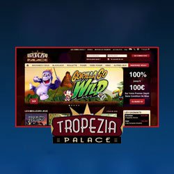 Top 5 Sites De Vidéo Poker